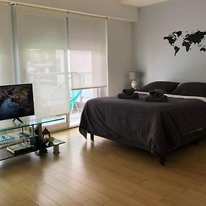 Cozy Studio In Palermo Soho With Security 24 Hs